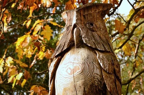 3D Wood carvings